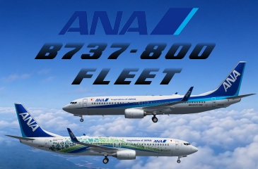 All Nippon Airways B737-800 FLEET (JA51AN～JA90AN)